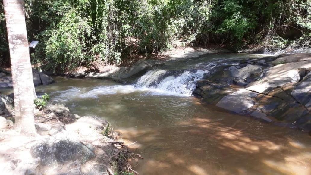 Sitio Da Cachoeirinha Paraju Domingos Martins Floriano Simmer エクステリア 写真